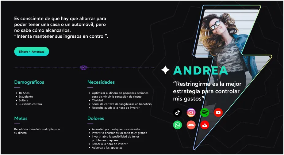 user persona